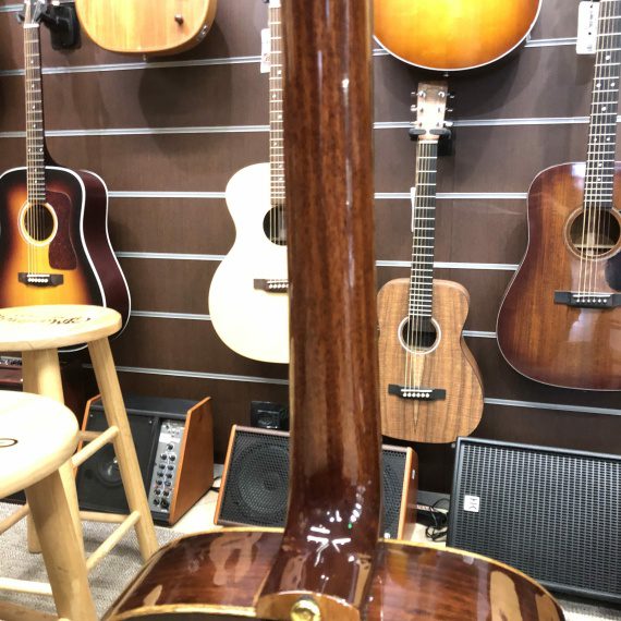 EKO Wow A800E CR LTD (Cedar/Rosewood) - USATO IN GARANZIA - - immagine 5